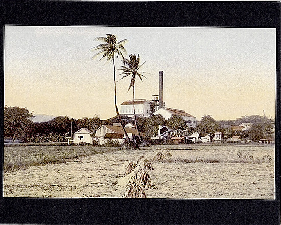 Waipahu Sugar Mill 1905? Hand Colored B&w To Giclee Photo On 8x10" Mat Board