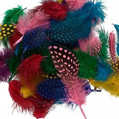 80 Assorted Genuine Guinea Feathers Dyed Bright Colors 1 Inch To 4 Inches Long