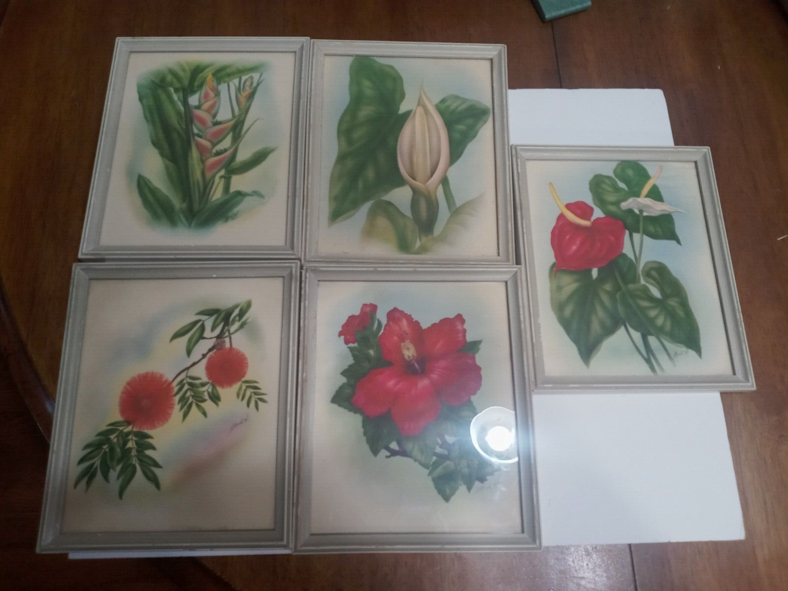 5 Vintage Ted Mundorff Airbrush Signed Paintings, Hawaiian Flowers, Tropical
